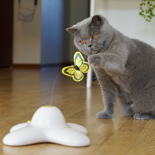 Fluttering Butterfly Automatic Interactive Cat Toy