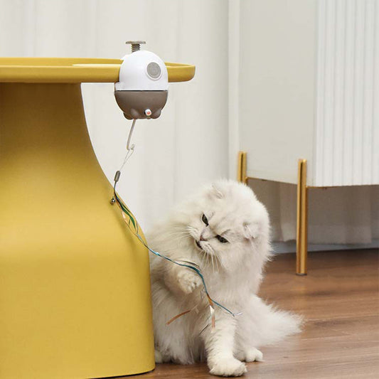 Feather Clip Laser Cat Toy