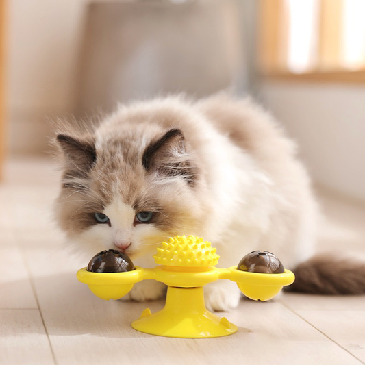 Butterfly Spinning Windmill Toothbrush Clean Cats Toys