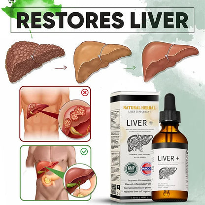 AnnieCare® Suplemento natural à base de ervas para o fígado - Poderoso suporte ao fígado - Desintoxicação e reparo - Reduz o açúcar no sangue e os lipídios