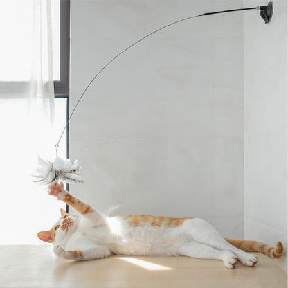 2 in 1 Detachable Interactive Feather Teasing Cat Toy